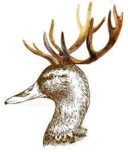 BuckDuck